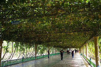 Shiravune春节特卖2月6日开启！